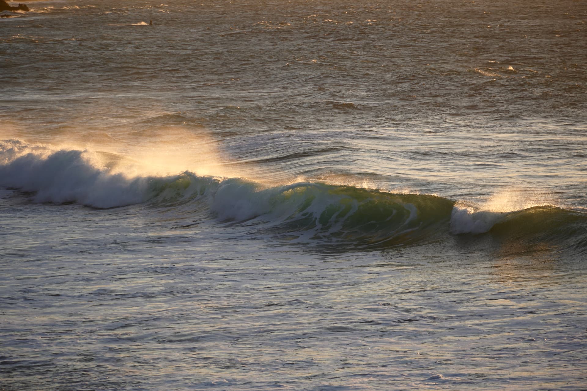 Die Welle — FUERTEVENTURA, SPANIEN · 2022