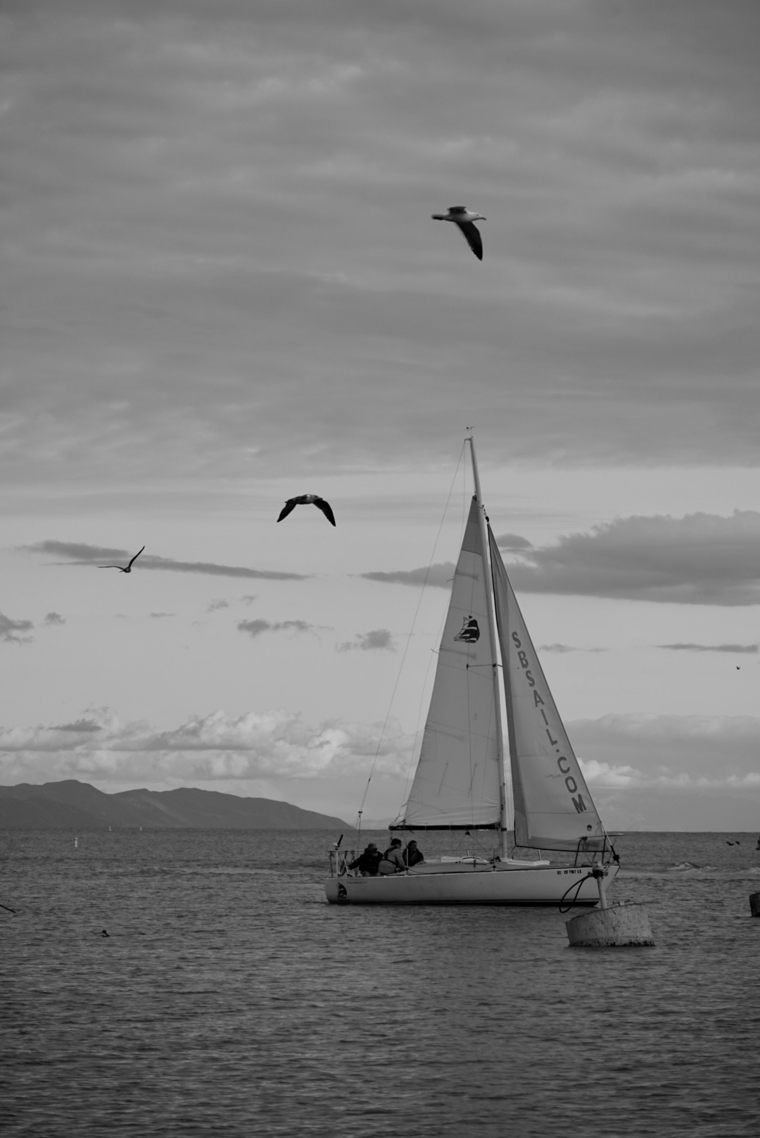 Wind in den Segeln — SANTA BARBARA, USA · 2023